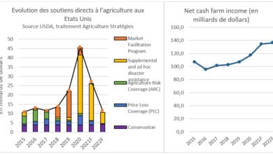 Photo de Politique agricole, Etats-Unis VS Europe : la souplesse et l’efficacité face à la rigidité et au repli