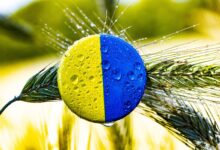 Photo de L’impact de la situation en Ukraine sur le secteur agricole local et mondial Partie 2