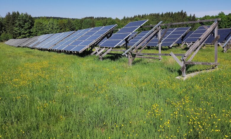 Photo de Définir l’agrivoltaïsme, un enjeu crucial pour la protection de l’activité agricole