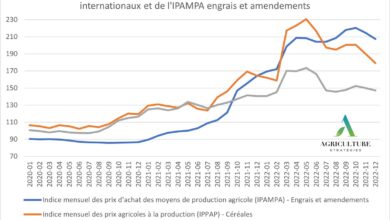Photo de Ciseau des prix : pourquoi 2023 est-elle une année à risque ?