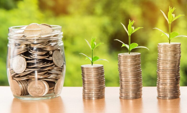 Photo de Evolutions du revenu agricole : quelles leçons pour l’action publique ?