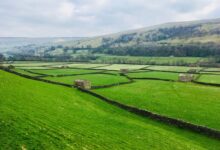 Photo de La politique agricole anglaise : où en est-on depuis le Brexit ?