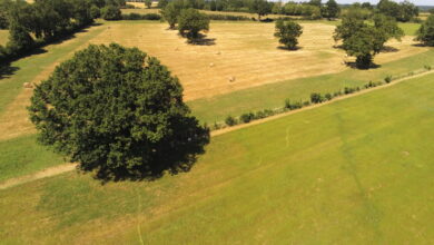 Photo de Quelles politiques environnementales pour une agriculture à la fois verte et compétitive ?