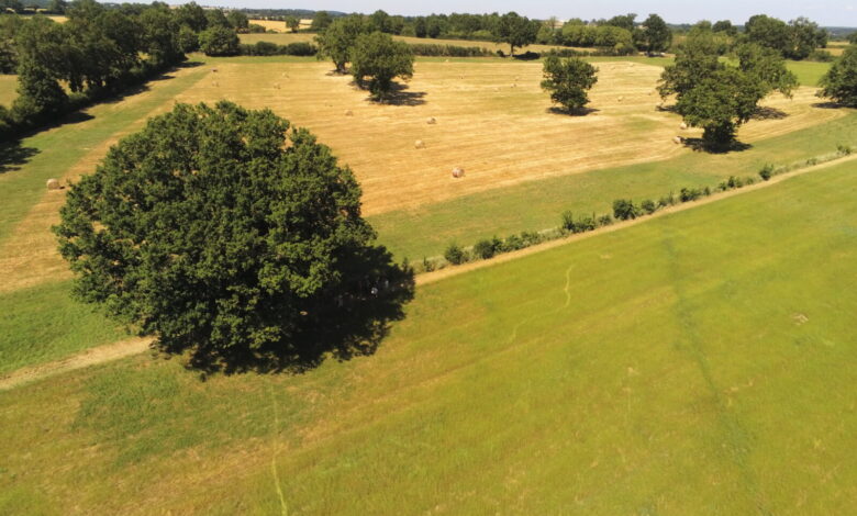Photo de Quelles politiques environnementales pour une agriculture à la fois verte et compétitive ?