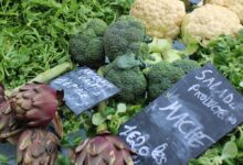 Photo de Un plan de souveraineté pour donner un cap à la filière fruits et légumes