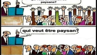 Photo de PLOA : l’art de cultiver le consensus mou
