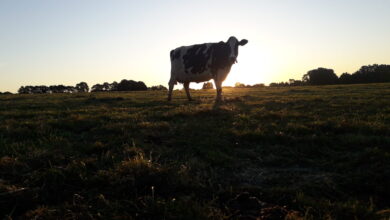 Photo de LAIT : comment caractériser, anticiper et gérer les crises ?