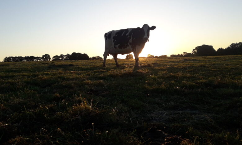 Photo de LAIT : comment caractériser, anticiper et gérer les crises ?