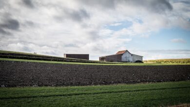 Photo de Capitaux, endettement, foncier : comparaison des structures françaises avec leurs voisines européennes