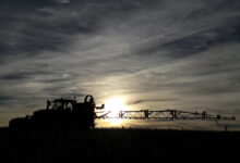 Photo de Pause Ecophyto : loin d’une régression environnementale, une révision nécessaire