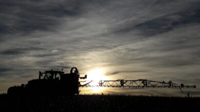 Photo de Pause Ecophyto : loin d’une régression environnementale, une révision nécessaire