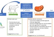 Photo de Vers un Egalim 4 : quels enjeux pour les filières ?