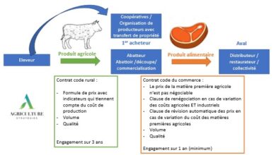 Photo de Vers un Egalim 4 : quels enjeux pour les filières ?