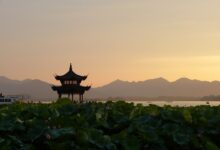 Photo of Cognac, pork, milk: will Chinese investigations put the CAP at risk?