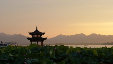 Photo of Cognac, pork, milk: will Chinese investigations put the CAP at risk?