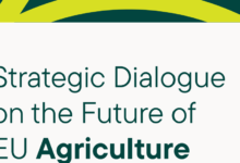 Photo of Conclusions from the strategic dialogue: toward an environmental services-oriented CAP?